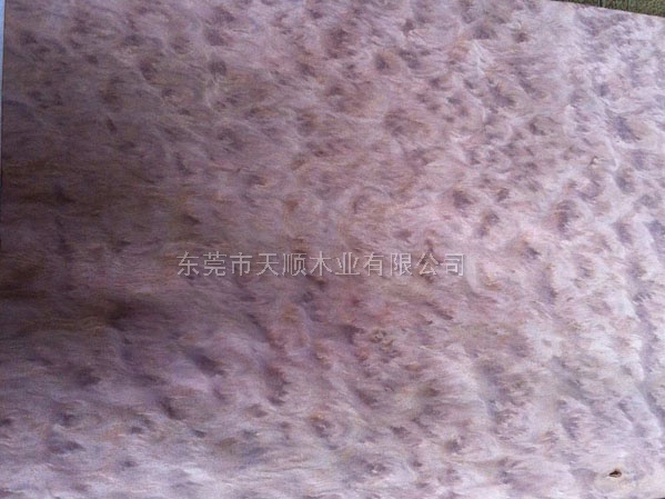尤加利樹榴木皮 尤加利樹榴 木皮 山紋木皮 直紋木皮 天然木皮 球紋 高檔木皮 排骨影 方塊影 碎影 木皮價格 山紋 直紋 樹榴