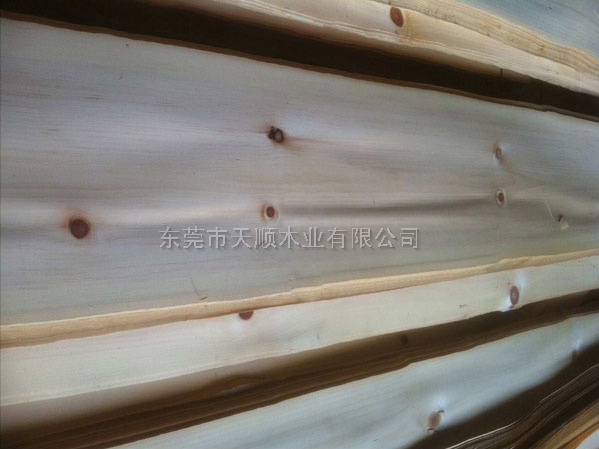 美國節(jié)松木皮 節(jié)松 木皮 山紋木皮 直紋木皮 天然木皮 球紋 高檔木皮 排骨影 方塊影 碎影 木皮價格 山紋 直紋 樹榴