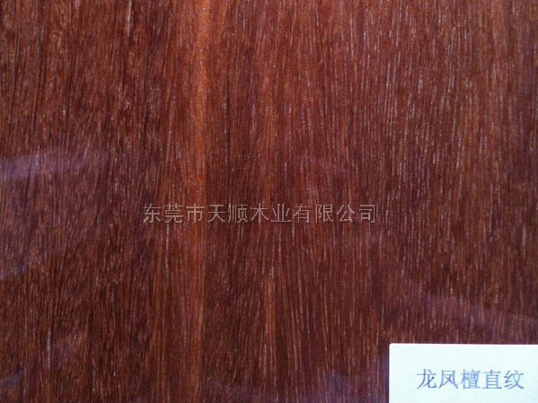龍鳳檀木皮 龍鳳檀 木皮 山紋木皮 直紋木皮 天然木皮 球紋 高檔木皮 排骨影 方塊影 碎影 木皮價格 山紋 直紋 樹榴